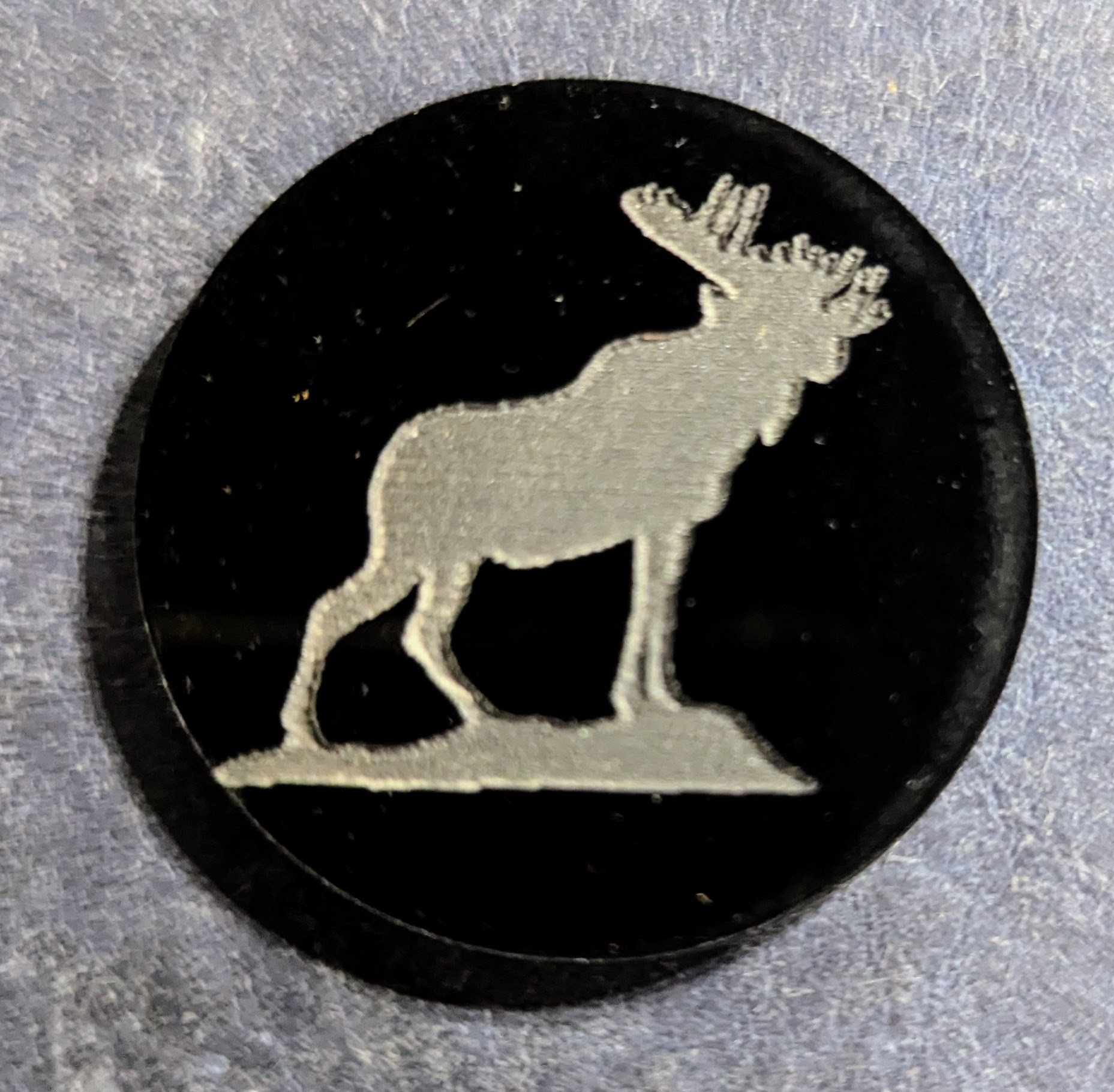 The Moose coin